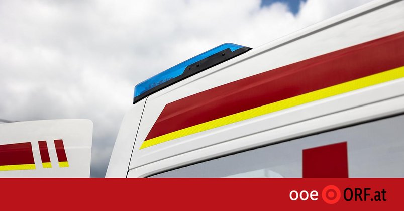 Mann nach Hundebiss wiederbelebt