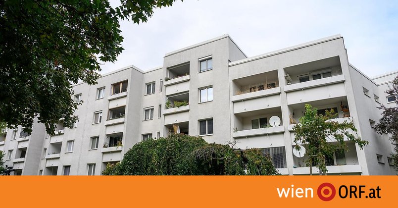 Nachbar erschossen: U-Haft verhängt