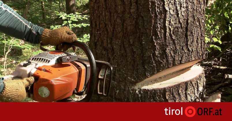 Seilwinde verletzt Forstarbeiter schwer