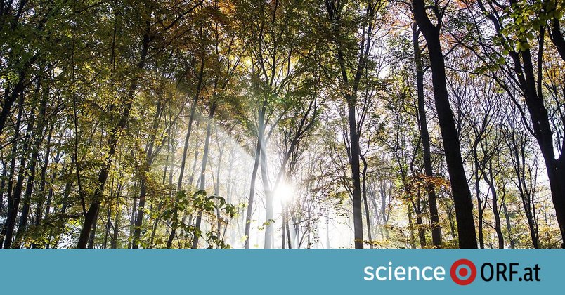 Erde steuert auf 2,8 Grad Erwärmung zu