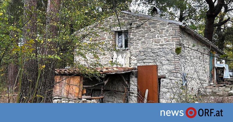 Sorgerechtsstreit: „Waldfamilie“ von Palmoli entzweit Italien