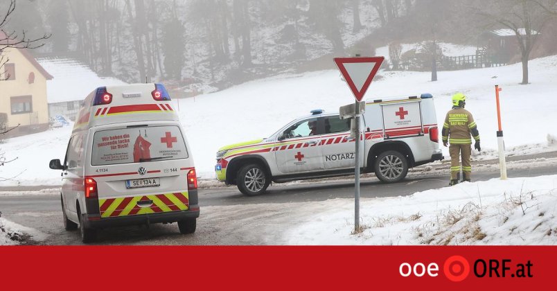 Mann nach Forstunfall reanimiert