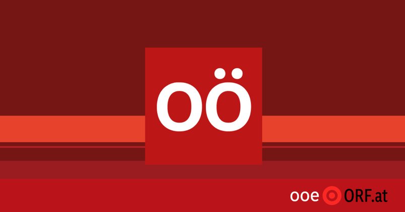 Erstickungsgefahr: Rückruf von Marienkäfer-Kostüm