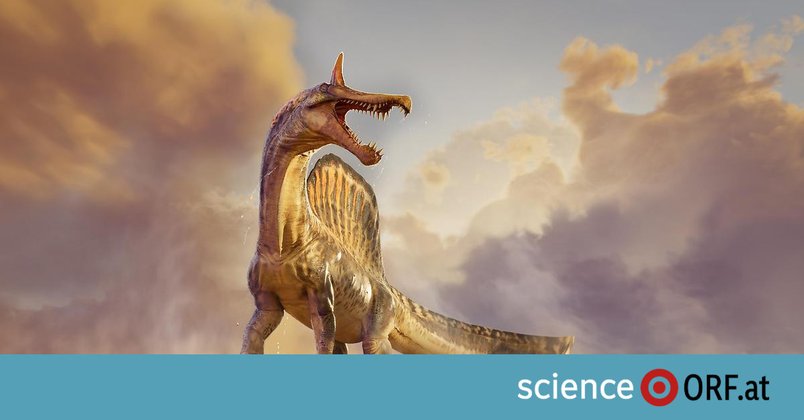 Raubsaurier im Sand der Sahara entdeckt