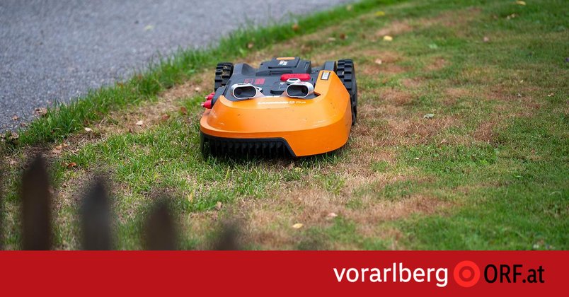 Nachtfahrverbot für Mähroboter gefordert