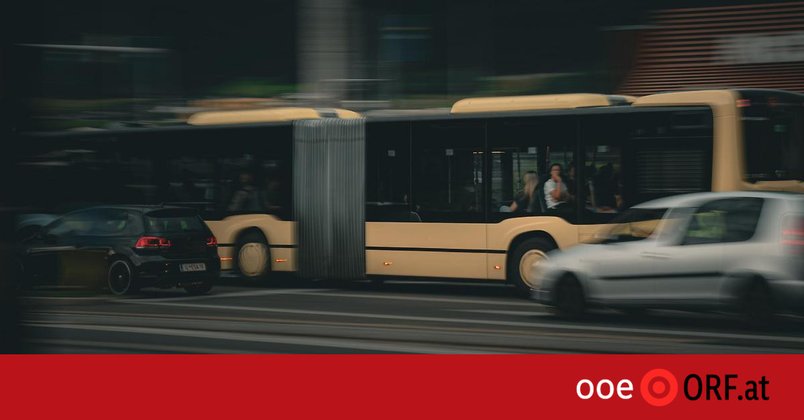 Über 100 Anzeigen bei Buskontrollen