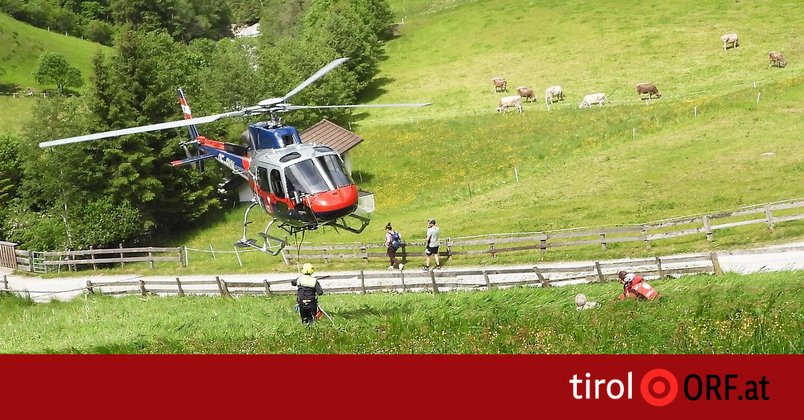 Mann bei Absturz schwer verletzt
