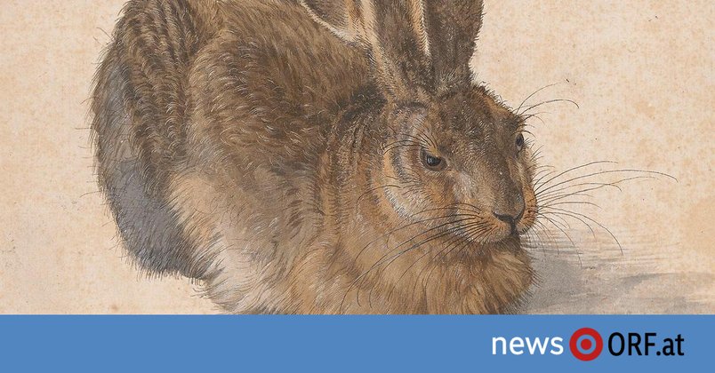 250 Jahre Albertina: Wie Dürers Hase ins Museum kam