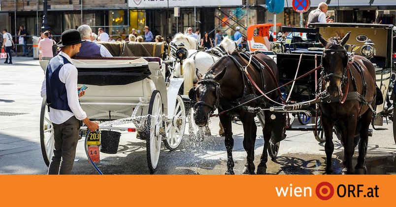 Tierschützer fordern Fahrverbot für Fiaker