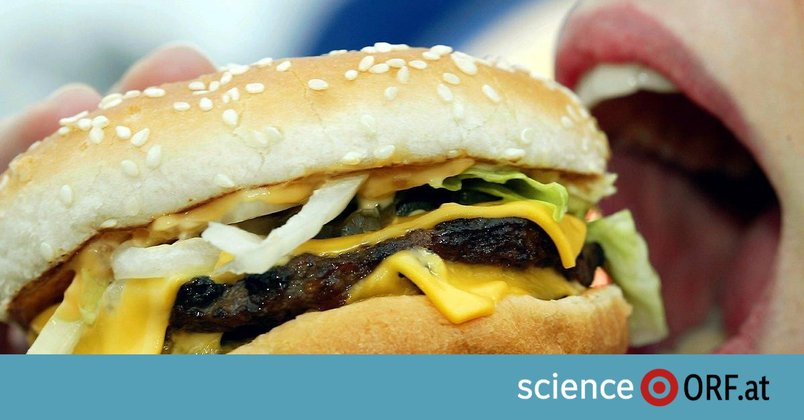 KI designt optimalen Burger