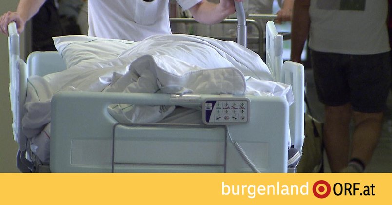 Doskozil und Fellner befürchten Klinikschließungen