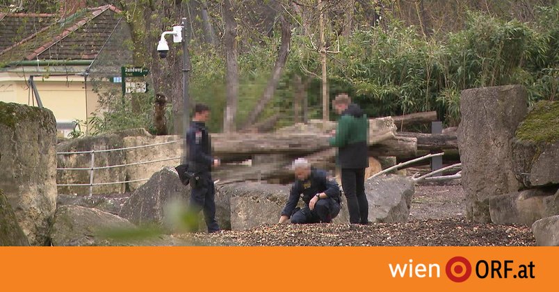 Tote Antilope: Ermittlungen abgebrochen