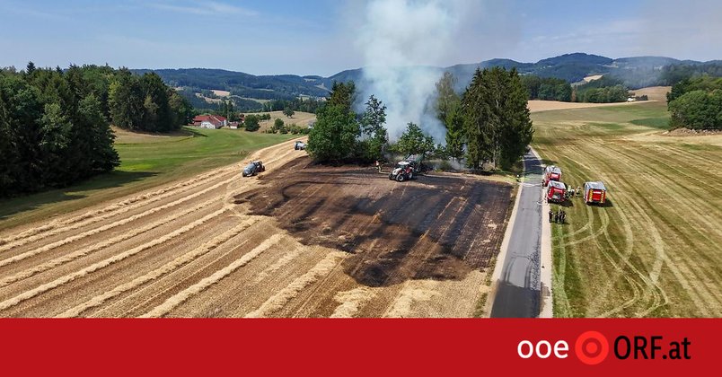 Zigarette dürfte Feldbrand ausgelöst haben