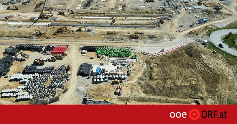 WWF fordert UVP-Pflicht für Rechenzentren
