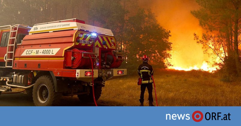 Frankreich: Waldbrand am Atlantik fordert Feuerwehr