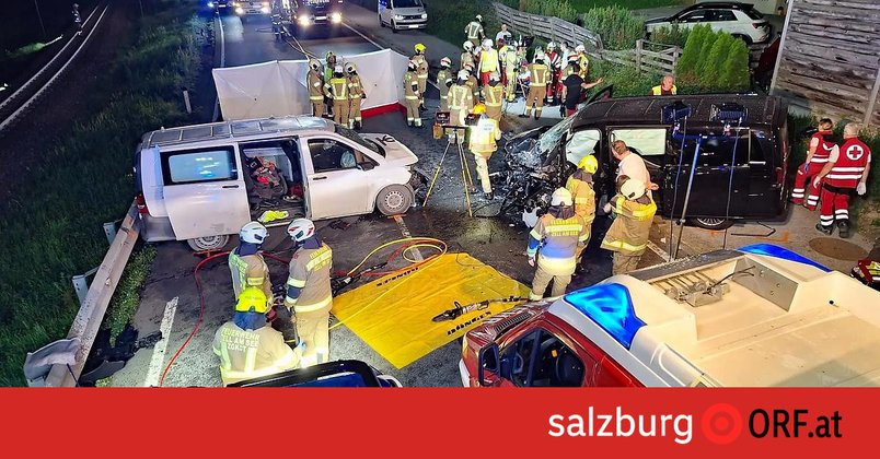 Kleinbusse kollidierten: Ein Toter, sieben Verletzte