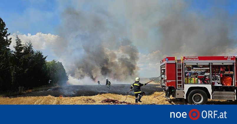 Franz-Josefs-Bahn: Bahndamm geriet in Brand