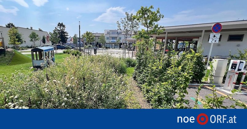 Wie Städte gegen Hitze aufrüsten