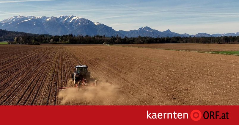 Rekordschäden durch Dürre