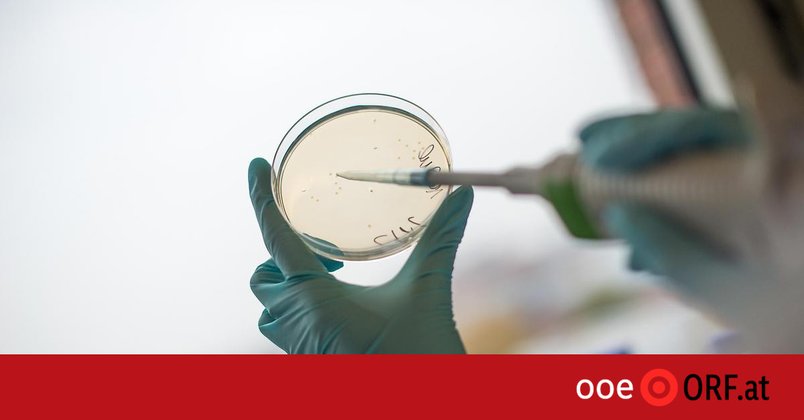 Behörden finden mögliche Legionellen-Quelle