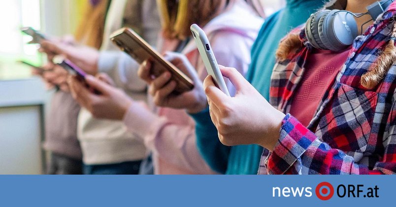 Frankreich: Verfassungsrat kippt Social-Media-Verbot