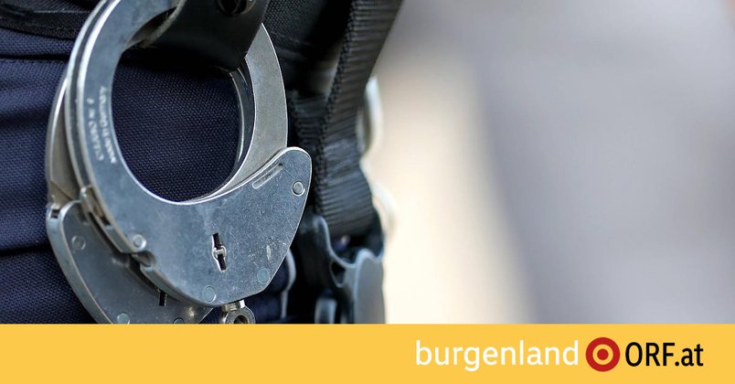 E-Scooter- und Fahrraddiebe festgenommen