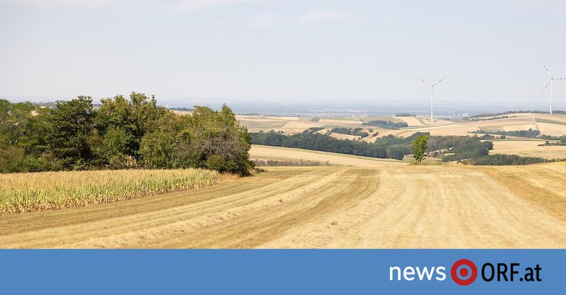 „Nie da gewesen“: Trockenstes Jahr seit Messbeginn in Österreich
