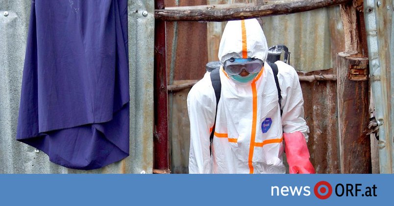 Schon 5.000 Fälle in DR Kongo: Ebola-Ausbruch nimmt ungeahnte Ausmaße an