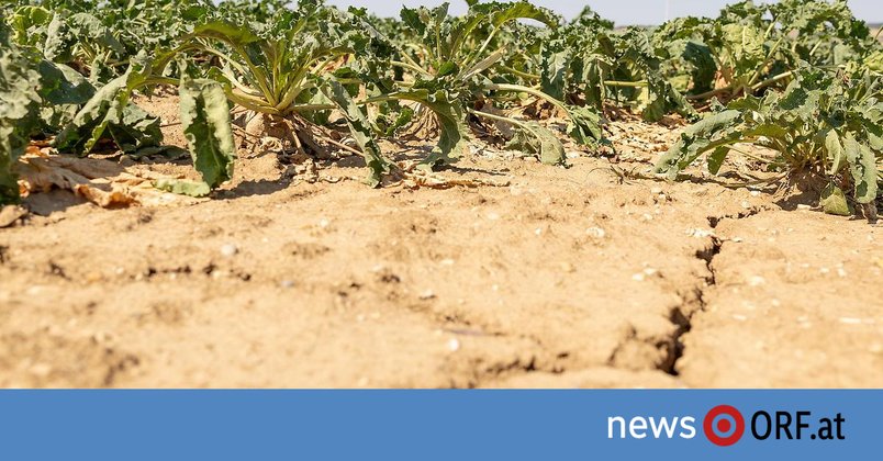 Regierung: Einigung bei Dürrehilfen und Klimagesetz