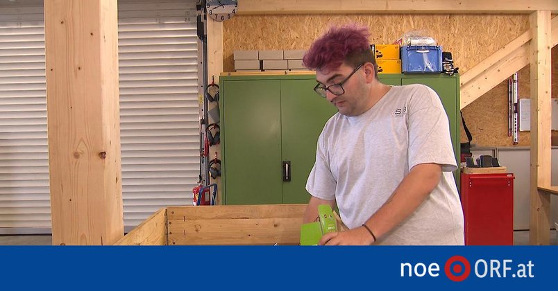 Neue Jobchancen für Jugendliche mit Behinderung