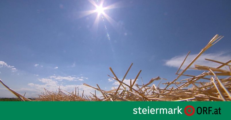 Handel und Banken unterstützen Landwirte