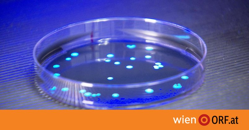 Legionellen: TÜV fordert Kühltürme-Register