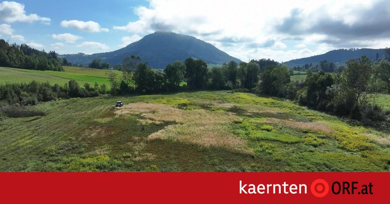 Aus Acker wird Moorlandschaft