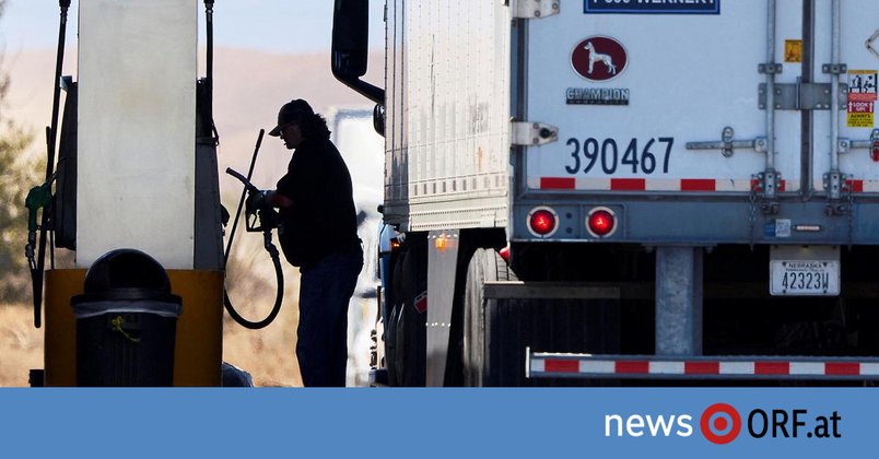 Expertin: Trump-Putin-Deal verbilligt Diesel nicht