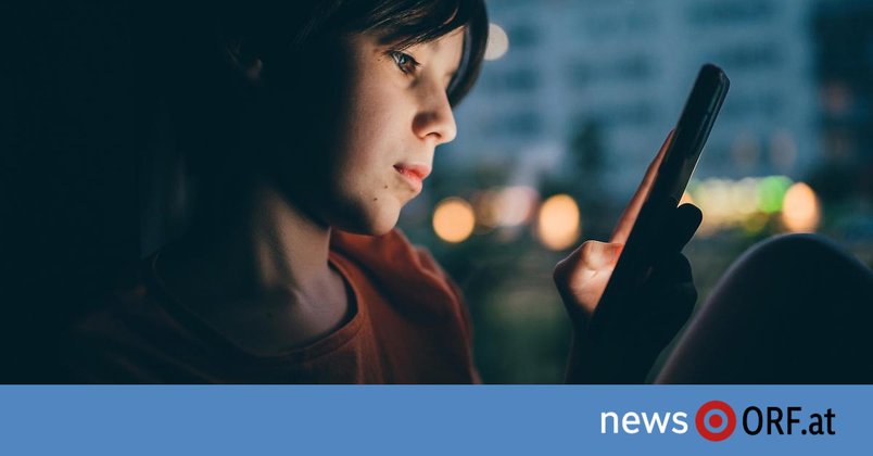 Kein O. k. von EU: Social-Media-Verbot vorerst ausgebremst