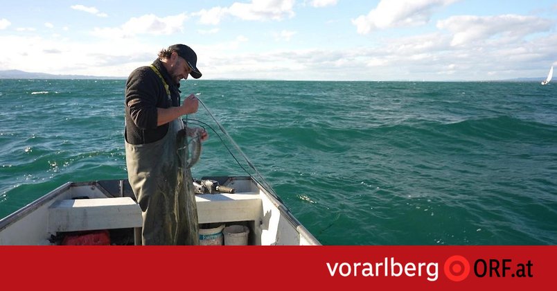 Berufsfischer rechnet mit mehr Ertrag